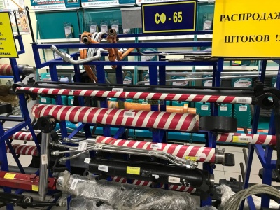 Шток гидроцилиндра подъема стрелы СФ-65 942688182