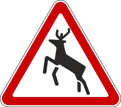 1.27 Дикие животные